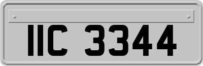IIC3344