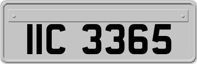 IIC3365