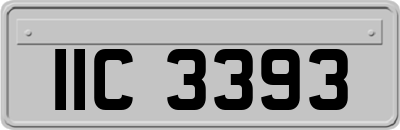 IIC3393