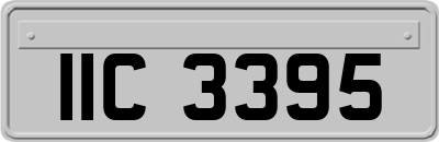 IIC3395