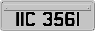 IIC3561