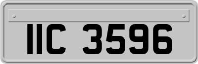 IIC3596