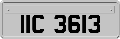 IIC3613