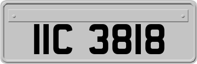 IIC3818