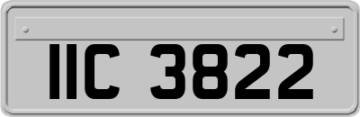 IIC3822