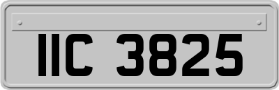 IIC3825
