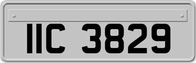 IIC3829