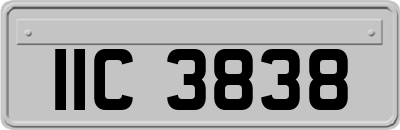 IIC3838