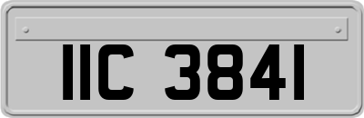 IIC3841