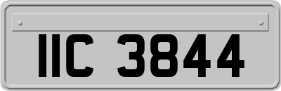 IIC3844