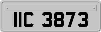 IIC3873
