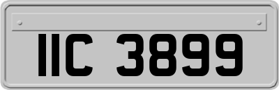 IIC3899
