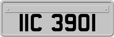 IIC3901
