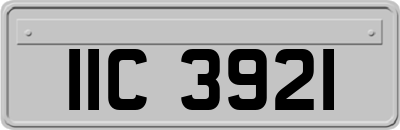 IIC3921