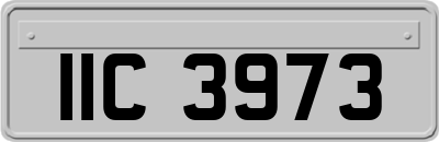 IIC3973