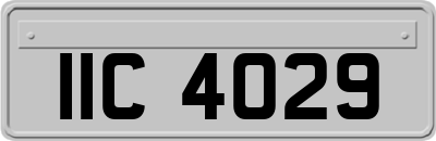 IIC4029