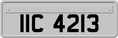IIC4213