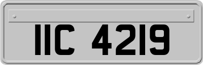 IIC4219
