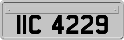 IIC4229