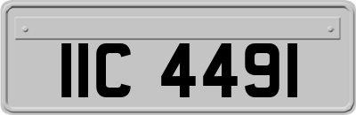 IIC4491