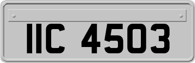 IIC4503