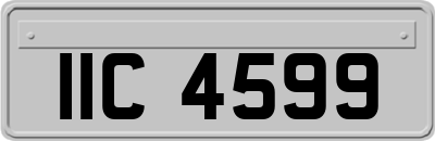 IIC4599