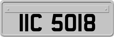 IIC5018