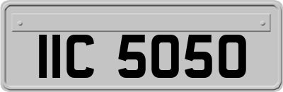 IIC5050