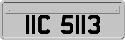IIC5113