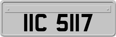 IIC5117