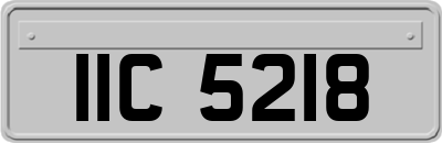 IIC5218