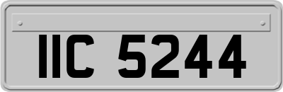 IIC5244