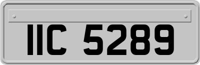 IIC5289