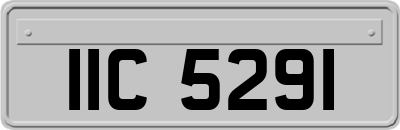 IIC5291