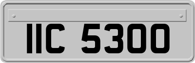 IIC5300