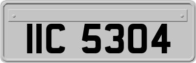 IIC5304