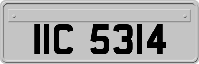 IIC5314