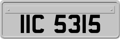 IIC5315