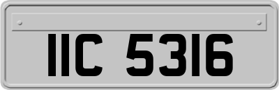 IIC5316