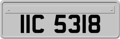 IIC5318