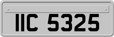 IIC5325