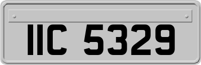 IIC5329