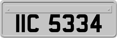 IIC5334
