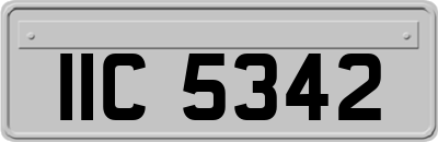 IIC5342