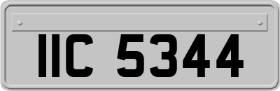 IIC5344