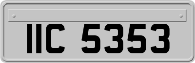 IIC5353