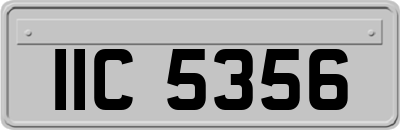IIC5356