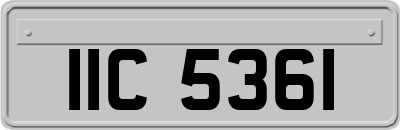IIC5361