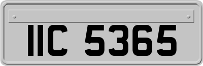 IIC5365