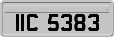 IIC5383